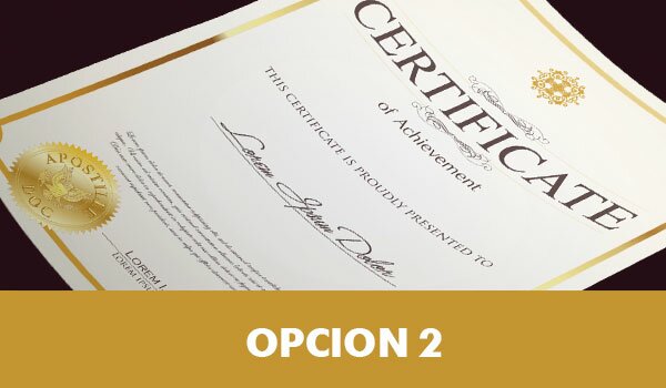 OPCION 2